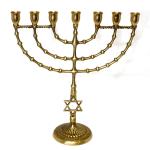 Brass Menorah With Star Of David Stem