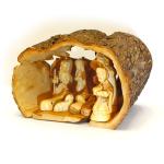 Amazing Handmade Nativity Carved From Olive Wood Branch